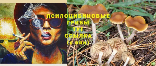 мескалин Аркадак