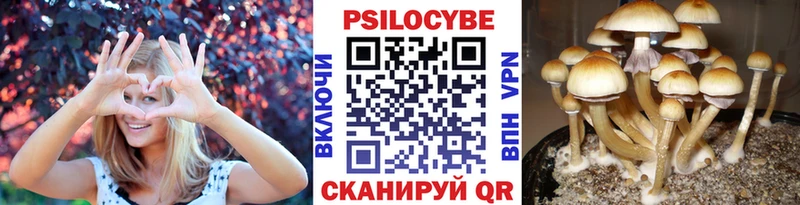 гидра зеркало Усолье Псилоцибиновые грибы мухоморы
